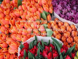 La amistad es joya rara muy difícil de encontrar de un valor insospechado y dura como el metal .   