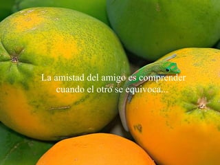 La amistad del amigo  es comprender cuando el otro se equivoca...  