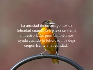 La amistad de u n amigo nos da felicidad cuando la tristeza se sienta a nuestro lado, pero también nos ayuda cuando la felicidad nos deja ciegos frente a la realidad.  
