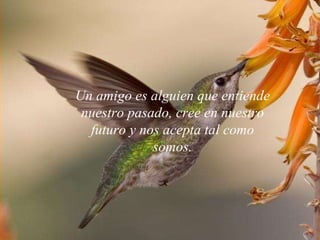 Un amigo es alguien que entiende nuestro pasado, cree en nuestro futuro y nos acepta tal como somos. 