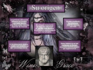 En el nuevo testamento se hace una referencia  de que San Juan Bautista en el desierto comía langosta con miel silvestre. Las primeras referencias  aparecen en Levítico,  cuyo texto  permite a los fieles comer distintas especies de insectos . Su origen En la aristocracia romana,  la familia real comía larvas  del “ escarabajo ciervo” Estos hábitos no se han mantenido en Europa,  pero si en muchos pueblos por supervivencia  El plato predilecto  de Aristóteles eran las cigarras  con miel. 