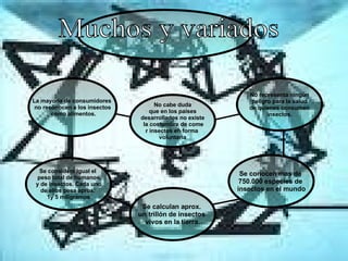 No cabe duda que en los países  desarrollados no existe la costumbre de come r insectos en forma  voluntaria La mayoría de consumidores  no reconocen a los insectos como alimentos. Muchos y variados Se considera igual el  peso total de humanos y de insectos. Cada uno  de ellos pesa aprox.  1y 5 miligramos Se calculan aprox.  un trillón de insectos  vivos en la tierra. Se conocen mas de  750.000 especies de  insectos en el mundo No representa ningún peligro para la salud de quienes consumen  insectos. 