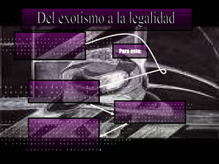 Se debe dilucidar si los insectos entran o no en el ámbito de los “ nuevos alimento” Muy pronto no será extraño degustar las conocidas y sabrosas “ hormigas culonas” de Colombia o las de momento  Experimentales  salchichas  a base de “chapulines” Para esto: Del exotismo a la legalidad Exigiendo el cumplimiento de  normas que hacen referencia  a la inocuidad y aptitud del producto para el consumo ; es decir , que sea seguro El producto exportado debe cumplir con las normas mínimas establecidas  para los alimentos, que determinan que deben ser sano, libre de toxinas, patógenos o inmundicias;  haberse fabricado, envasado, almacenado  y transportado bajo condiciones  sanitarias adecuadas . 