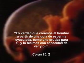 “ Es verdad que creamos al hombre a partir de una gota de esperma eyaculada, como una prueba para él, y lo hicimos con capacidad de ver y oír”. Coran 76, 2  