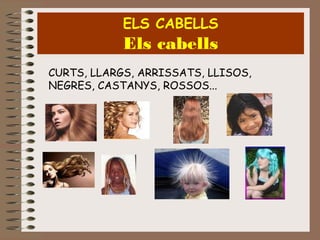 ELS CABELLS

Els cabells
CURTS, LLARGS, ARRISSATS, LLISOS,
NEGRES, CASTANYS, ROSSOS...

 