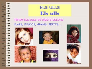 ELS ULLS

Els ulls
TENIM ELS ULLS DE MOLTS COLORS
CLARS, FOSCOS, GRANS, PETITS...

 