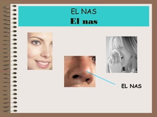 EL NAS

El nas

EL NAS

 