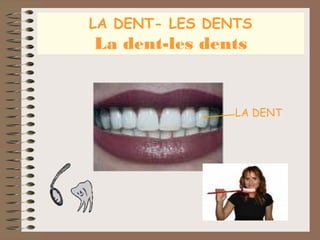 LA DENT- LES DENTS

La dent-les dents

LA DENT

 