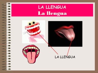 LA LLENGUA

La llengua

LA LLENGUA

 