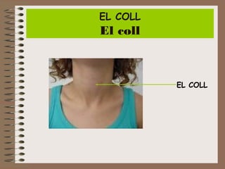 EL COLL

El coll

EL COLL

 