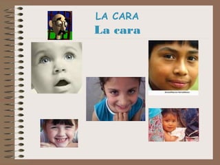 LA CARA

La cara

 