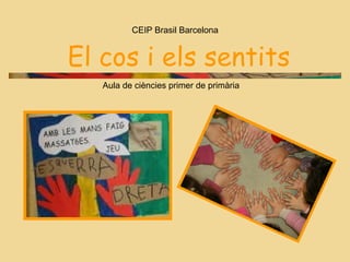 El cos i els   sentits CEIP Brasil Barcelona Aula de ciències primer de primària 