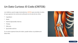 El-Cronograma-de-Osificacion-del-Miembro-Superior.pptx