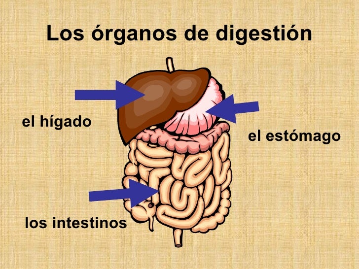 El tratamiento de la columna vertebral el electroacero