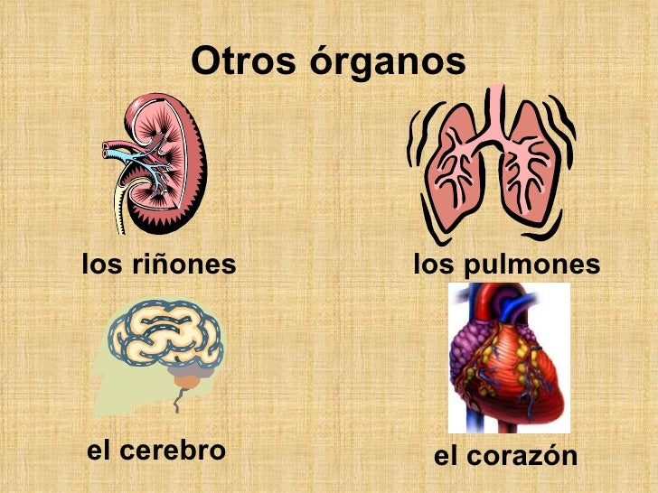 El dolor en los riñones que da en el pie que curar