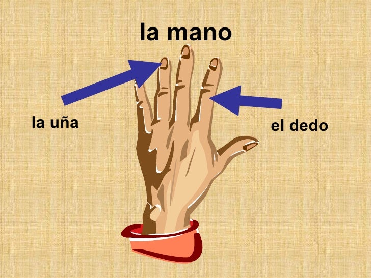 Los síntomas y el tratamiento del flemón del cuello