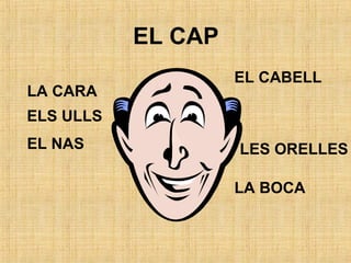 EL CAP
ELS ULLS
LA CARA
EL NAS LES ORELLES
LA BOCA
EL CABELL
 