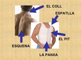 EL COLL
ESPATLLA
EL PIT
LA PANXA
ESQUENA
 