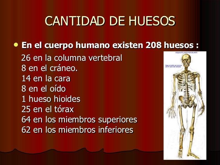 El Cuerpo Humano