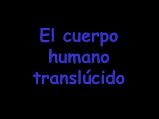 El cuerpo humano translúcido 