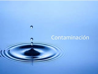Contaminación 
 