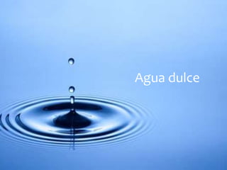 Agua dulce 
 