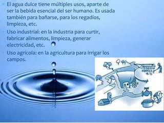  El agua dulce tiene múltiples usos, aparte de 
ser la bebida esencial del ser humano. Es usada 
también para bañarse, para los regadíos, 
limpieza, etc. 
 Uso industrial: en la industria para curtir, 
fabricar alimentos, limpieza, generar 
electricidad, etc. 
 Uso agrícola: en la agricultura para irrigar los 
campos. 
 