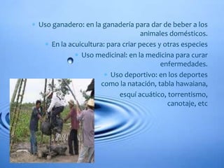  Uso ganadero: en la ganadería para dar de beber a los
animales domésticos.
 En la acuicultura: para criar peces y otras especies
 Uso medicinal: en la medicina para curar
enfermedades.
 Uso deportivo: en los deportes
como la natación, tabla hawaiana,
 esquí acuático, torrentismo,
canotaje, etc
 