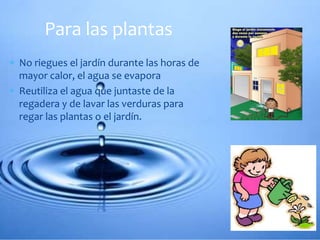  No riegues el jardín durante las horas de
mayor calor, el agua se evapora
 Reutiliza el agua que juntaste de la
regadera y de lavar las verduras para
regar las plantas o el jardín.
Para las plantas
 