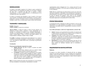 3
G
G
G
GE
E
E
EN
N
N
NE
E
E
ER
R
R
RA
A
A
AL
L
L
LI
I
I
ID
D
D
DA
A
A
AD
D
D
DE
E
E
ES
S
S
S
El tomate es una planta originaria de la planicie costera occidental de
América del Sur. Fue introducido por primera vez en Europa a mediados
del siglo XVI; a principios del siglo XIX se comenzó a cultivar
comercialmente, se inició su industrialización y la diferenciación de las
variedades para mesa y para industria.
El tomate es la hortaliza más difundida en todo el mundo y la de mayor
valor económico. Su demanda aumenta continuamente y con ella su cultivo,
producción y comercio. El tomate en fresco se consume principalmente en
ensaladas, cocido o frito. En mucha menor escala se utiliza como encurtido.
T
T
T
TA
A
A
AX
X
X
XO
O
O
ON
N
N
NO
O
O
OM
M
M
MÍ
Í
Í
ÍA
A
A
A Y
Y
Y
Y M
M
M
MO
O
O
OR
R
R
RF
F
F
FO
O
O
OL
L
L
LO
O
O
OG
G
G
GÍ
Í
Í
ÍA
A
A
A
Familia: Solanaceae
Nombre científico: Lycopersicon esculentum
Tipo de Planta: La planta de tomate es anual, de porte arbustivo. Se
desarrolla de forma rastrera, semierecta o erecta, dependiendo de la
variedad. El crecimiento es limitado en las variedades determinadas, e
ilimitado en las indeterminadas. Los españoles y portugueses difundieron el
tomate a Oriente Medio y África, y de allí a otros países asiáticos, y de
Europa también se difundió a Estados Unidos y Canadá.
La semilla: Es aplanada, con dimensiones aproximadas de 3 x 2 x 1 mm. Si
se almacena por periodos prolongados se aconseja hacerlo a humedad del
5.5%. Una semilla de calidad deberá tener un porcentaje de germinación
arriba del 95%.
Germinación
El proceso de germinación comprende tres etapas:
 Rápida absorción, que dura 12 horas, se produce una rápida
absorción de agua.
 Reposo, dura 40 horas, durante la cual no se observa ningún
cambio; la semilla comienza a absorber agua de nuevo.
 Crecimiento: asociada al proceso de germinación de la semilla.
Este proceso necesita elevadas cantidades de oxígeno; cuando la
oxigenación es deficiente se reduce drásticamente la germinación,
como suele ocurrir en suelos anegados. La temperatura óptima
oscila entre los 20 y 25ºC; se produce mejor en la oscuridad, en
algunas variedades resulta inhibida por la luz.
Raíz: El sistema radicular del tomate está constituido por, la raíz principal,
las raíces secundarias y las adventicias. Generalmente se extiende
superficialmente sobre un diámetro de 1.5 m. y alcanza mas de 0.5 m. de
profundidad; sin embargo, el 70% de las raíces se localizan a menos de 0.20
m. de la superficie.
Fruto: Baya bi o plurilocular que puede alcanzar un peso que oscila entre
unos pocos miligramos y 600 gramos. Está constituido por el pericarpo, el
tejido placentario y las semillas. El fruto puede recolectarse separándolo por
la zona de abscisión del pedicelo, como ocurre en las variedades
industriales, en las que es indeseable la presencia de parte del pecíolo, o
bien puede separase por la zona peduncular de unión al fruto.
E
E
E
ET
T
T
TA
A
A
AP
P
P
PA
A
A
AS
S
S
S F
F
F
FE
E
E
EN
N
N
NO
O
O
OL
L
L
LO
O
O
OG
G
G
GI
I
I
IC
C
C
CA
A
A
AS
S
S
S
La fenología del cultivo comprende las etapas que forman su ciclo de vida.
Dependiendo de la etapa fenológica de la planta, así son sus demandas
nutricionales, necesidades hídricas, susceptibilidad o resistencia a insectos y
enfermedades.
En el cultivo del tomate, se observan 3 etapas durante su ciclo de vida:
 Inicial: Comienza con la germinación de la semilla. Se caracteriza por
el rápido aumento en la materia seca, la planta invierte su energía en la
síntesis de nuevos tejidos de absorción y fotosíntesis.
 Vegetativa: Esta etapa se inicia a partir de los 21 días después de la
germinación y dura entre 25 a 30 días antes de la floración. Requiere
de mayores cantidades de nutrientes para satisfacer las necesidades de
las hojas y ramas en crecimiento y expansión.
 Reproductiva: Se inicia a partir del fructificación, dura entre 30 ó 40
días, y se caracteriza porque el crecimiento de la planta se detiene y los
frutos extraen los nutrientes necesarios para su crecimiento y
maduración.
R
R
R
RE
E
E
EQ
Q
Q
QU
U
U
UE
E
E
ER
R
R
RI
I
I
IM
M
M
MI
I
I
IE
E
E
EN
N
N
NT
T
T
TO
O
O
OS
S
S
S E
E
E
ED
D
D
DA
A
A
AF
F
F
FO
O
O
OC
C
C
CL
L
L
LI
I
I
IM
M
M
MÁ
Á
Á
ÁT
T
T
TI
I
I
IC
C
C
CO
O
O
OS
S
S
S
Radiación
El tomate es un cultivo insensible a la duración del día, sin embargo
requiere de una buena iluminación, la cual se modifica por la densidad de
siembra, sistema de poda, tutorado y prácticas culturales que optimizan la
recepción de los rayos solares, especialmente en época lluviosa cuando la
radiación es más limitada.
 