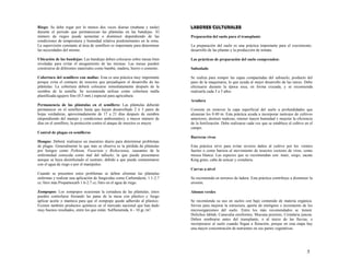 5
Riego: Se debe regar por lo menos dos veces diarias (mañana y tarde)
durante el periodo que permanezcan las plántulas en las bandejas. El
número de riegos puede aumentar o disminuir dependiendo de las
condiciones de temperatura y humedad relativa predominantes en la zona.
La supervisión constante al área de semillero es importante para determinar
las necesidades del mismo.
Ubicación de las bandejas: Las bandejas deben colocarse sobre mesas bien
niveladas para evitar el anegamiento de las mismas. Las mesas pueden
construirse de diferentes materiales como bambú, madera, hierro o cemento.
Cobertura del semillero con mallas: Esta es una práctica muy importante
porque evita el contacto de insectos que perjudiquen el desarrollo de las
plántulas. La cobertura deberá colocarse inmediatamente después de la
siembra de la semilla. Se recomienda utilizar como cobertura malla
plastificada agujero fino (0.5 mm.) especial para agricultura.
Permanencia de las plántulas en el semillero: Las plántulas deberán
permanecer en el semillero hasta que hayan desarrollado 2 ó 3 pares de
hojas verdaderas, aproximadamente de 17 a 21 días después de siembra
(dependiendo del manejo y condiciones ambientales); a mayor número de
días en el semillero, la protección contra el ataque de insectos es mayor.
Control de plagas en semilleros
Hongos: Deberá realizarse un muestreo diario para determinar problemas
de plagas. Generalmente lo que más se observa es la pérdida de plántulas
por hongos como Pythium, Fusarium y Rizhoctonia, causantes de la
enfermedad conocida como mal del talluelo; la que puede presentarse
aunque se haya desinfectado el sustrato, debido a que puede contaminarse
con el agua de riego o por el manipuleo.
Cuando se presenten estos problemas se deben eliminar las plántulas
enfermas y realizar una aplicación de fungicidas como Carbendazin, 1.1-2.7
cc./litro más Propamocarb 1.6-2.7 cc./litro en el agua de riego.
Zompopos: Los zompopos ocasionan la cortadura de las plántulas; éstos
pueden controlarse forrando las patas de la mesa con plástico y luego
aplicar aceite o manteca para que el zompopo quede adherido al plástico.
Existen también productos químicos en el mercado nacional que han dado
muy buenos resultados, entre los que están: Sulfluramida, 6 - 10 gr./m2
.
L
L
L
LA
A
A
AB
B
B
BO
O
O
OR
R
R
RE
E
E
ES
S
S
S C
C
C
CU
U
U
UL
L
L
LT
T
T
TU
U
U
UR
R
R
RA
A
A
AL
L
L
LE
E
E
ES
S
S
S
Preparación del suelo para el transplante
La preparación del suelo es una práctica importante para el crecimiento,
desarrollo de las plantas y la producción de tomate.
Las prácticas de preparación del suelo comprenden:
Subsolado
Se realiza para romper las capas compactadas del subsuelo, producto del
paso de la maquinaria, lo que ayuda al mejor desarrollo de las raíces. Debe
efectuarse durante la época seca, en forma cruzada, y se recomienda
realizarla cada 3 a 5 años.
Aradura
Consiste en remover la capa superficial del suelo a profundidades que
alcanzan los 0.40 m. Esta práctica ayuda a incorporar rastrojos de cultivos
anteriores, destruir malezas, retener mayor humedad y mejorar la eficiencia
de la fertilización. Debe realizarse cada vez que se establece el cultivo en el
campo.
Barreras vivas
Esta práctica sirve para evitar severos daños al cultivo por los vientos
fuertes o como barrera al movimiento de insectos vectores de virus, como
mosca blanca. Las especies que se recomiendan son: maíz, sorgo, zacate
King grass, caña de azúcar y crotalaria.
Curvas a nivel
Se recomienda en terrenos de ladera. Esta práctica contribuye a disminuir la
erosión.
Abonos verdes
Se recomienda su uso en suelos con bajo contenido de materia orgánica.
Sirven para mejorar la estructura, aporte de nitrógeno e incremento de los
microorganismos del suelo. Entre los más recomendados se tienen:
Dolichus lablab, Canavalia ensiformis, Mucuna pruriens, Crotalaria juncea.
Deben sembrarse antes del transplante, o al inicio de las lluvias, e
incorporarse al suelo cuando llegan a floración, porque en esta etapa hay
una mayor concentración de nutrientes en sus partes vegetativas.
 