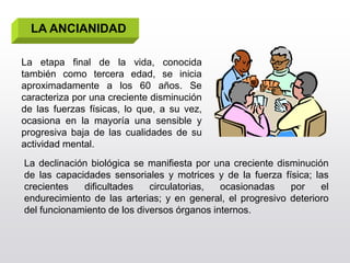LA ANCIANIDAD

La etapa final de la vida, conocida
también como tercera edad, se inicia
aproximadamente a los 60 años. Se
caracteriza por una creciente disminución
de las fuerzas físicas, lo que, a su vez,
ocasiona en la mayoría una sensible y
progresiva baja de las cualidades de su
actividad mental.
La declinación biológica se manifiesta por una creciente disminución
de las capacidades sensoriales y motrices y de la fuerza física; las
crecientes   dificultades    circulatorias,  ocasionadas    por    el
endurecimiento de las arterias; y en general, el progresivo deterioro
del funcionamiento de los diversos órganos internos.
 
