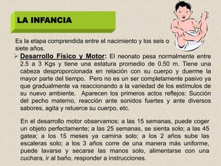 LA INFANCIA

Es la etapa comprendida entre el nacimiento y los seis o
siete años.
 Desarrollo Físico y Motor: El neonato pesa normalmente entre
  2.5 a 3 Kgs y tiene una estatura promedio de 0.50 m. Tiene una
  cabeza desproporcionada en relación con su cuerpo y duerme la
  mayor parte del tiempo. Pero no es un ser completamente pasivo ya
  que gradualmente va reaccionando a la variedad de los estímulos de
  su nuevo ambiente. Aparecen los primeros actos reflejos: Succión
  del pecho materno, reacción ante sonidos fuertes y ante diversos
  sabores, agita y retuerce su cuerpo, etc.

  En el desarrollo motor observamos: a las 15 semanas, puede coger
  un objeto perfectamente; a las 25 semanas, se sienta solo; a las 45
  gatea; a los 15 meses ya camina solo; a los 2 años sube las
  escaleras solo; a los 3 años corre de una manera más uniforme,
  puede lavarse y secarse las manos solo, alimentarse con una
  cuchara, ir al baño, responder a instrucciones.
 