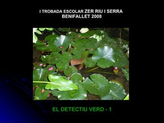 EL DETECTIU VERD - 1 I TROBADA ESCOLAR   ZER RIU I SERRA  BENIFALLET 2008 