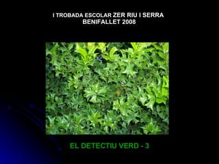 EL DETECTIU VERD - 3 I TROBADA ESCOLAR   ZER RIU I SERRA  BENIFALLET 2008 