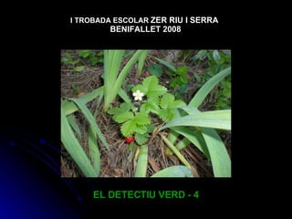 EL DETECTIU VERD - 4 I TROBADA ESCOLAR   ZER RIU I SERRA  BENIFALLET 2008 