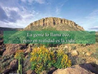 La gente lo llama eco,  pero en realidad es la vida! 