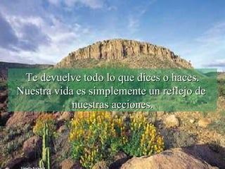 Te devuelve todo lo que dices o haces. Nuestra vida es simplemente un reflejo de  nuestras acciones. 