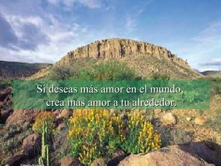 Si deseas más amor en el mundo,  crea mas amor a tu alrededor. 