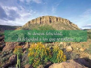 Si deseas felicidad,  da felicidad a los que te rodean. 