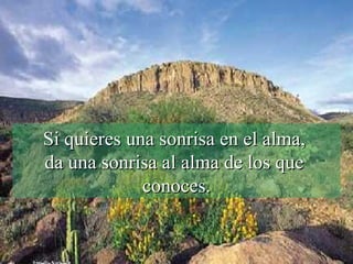 Si quieres una sonrisa en el alma,  da una sonrisa al alma de los que  conoces. 