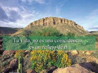 Tu vida, no es una coincidencia,  es un reflejo de ti. 