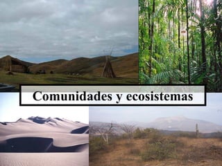 Comunidades y ecosistemas
 
