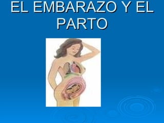 EL EMBARAZO Y EL PARTO