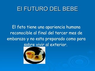 El FUTURO DEL BEBE . El feto tiene una apariencia humana reconocible al final del tercer mes de embarazo y no esta preparado como para sobre vivir al exterior.