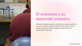 El embarazo y su
desarrollo evolutivo
Comparte la maravillosa experiencia del embarazo con nuestra presentación
mes a mes. Conocerás el proceso completo de la fecundación, ovulación,
nidación y concepción. Además, mostraremos imágenes reales del
desarrollo fetal en cada etapa.
 