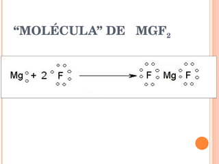 “ MOLÉCULA” DE  MGF 2 
