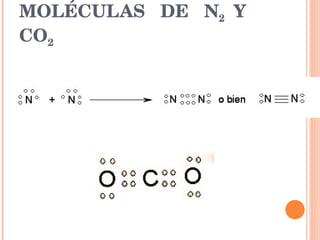 MOLÉCULAS  DE  N 2  Y  CO 2 