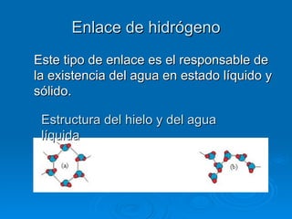 Enlace de hidrógeno Este tipo de enlace es el responsable de la existencia del agua en estado líquido y sólido.   Estructura del hielo y del agua líquida 
