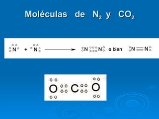 Moléculas  de  N 2  y  CO 2 